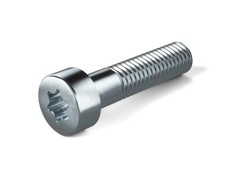 Cylinder screws 
